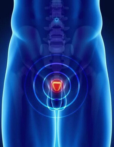 Ferro Networks порно видео азғырған жыныстық қатынас Үстел астындағы қыздардың пиздасын жалау (орыс порно)